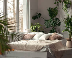 Images1